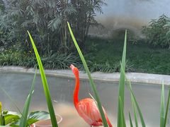 -成都动物园