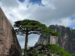-黄山风景区