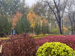 -元大都城垣遗址公园