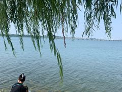 -丁香湖公园