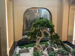 -普天和酒楼·新津菜·烤鸭(天津之眼店)