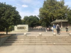 -太子山公园(园东路)