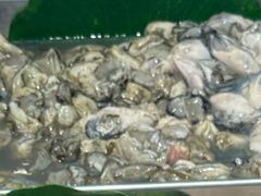 -恒达综合农贸市场(黄山路店)