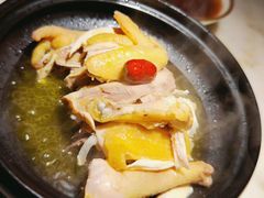 -佬肥猫(国华广场店)