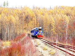 -莫尔道嘎国家森林公园