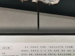 -南越王博物院(王宫展区)