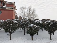 -沙澧河风景区
