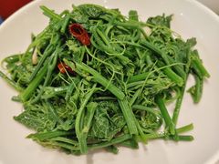 炝炒丝瓜尖-到家尝北京菜(西坝河店)