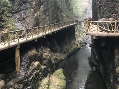 -永泰中国云顶