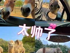 -杭州野生动物世界