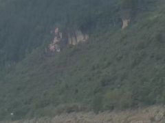 -神农溪纤夫文化旅游区