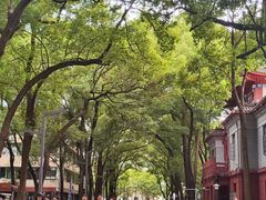 -四川大学(望江校区)