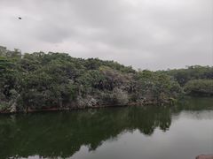 -广州莲花山旅游区