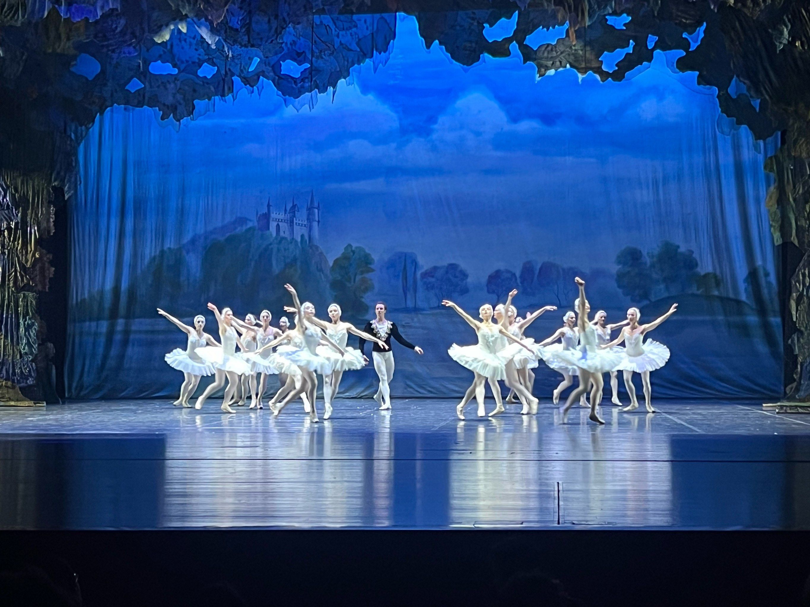 在天鹅湖看天鹅湖