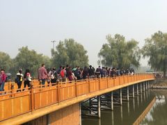 -白洋淀景区