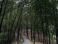 -火炉山森林公园