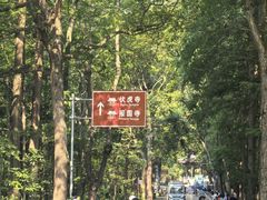 -峨眉山报国寺