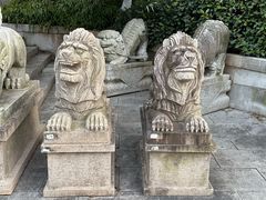 -白马涧龙池景区