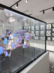 -酷嗒动物文化乐园(cutezoo西溪乐天城店)