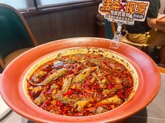 -情妹耙泥鳅·江湖川菜(科华店)