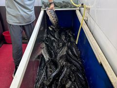 -活鱼馆(宜兴埠店)