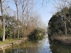 -上海滨江森林公园