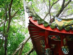 -乌山风景区