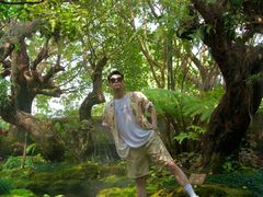 -Chom Cafe and Restaurant