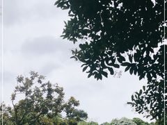 -黔灵山公园