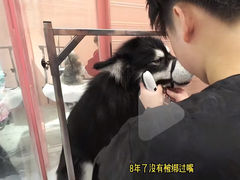 -FAELING PETS美天灵宠物(合生汇店)