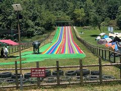 -武陵山森林公园