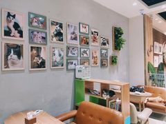 大堂-藏猫猫咖啡主题馆(中央大道店)