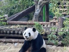 -灵玲国际马戏城