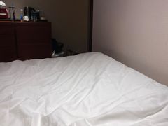 -南京金丝利喜来登酒店