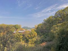-少华山国家森林公园