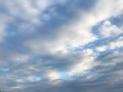 -鼎原力量东北吊炉烧烤(临河街店)