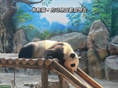 -扬州市茱萸湾风景区