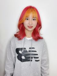 -YESIDO椰岛造型