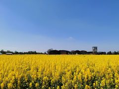 -中国天府农业博览园