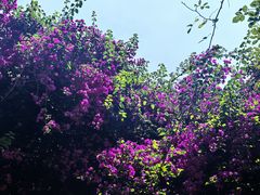 -月亮眼花园餐厅书吧酒吧