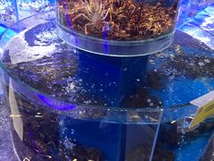 -新海渔港·胶东海鲜家常菜·家宴(奥体中心店)