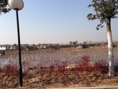 iphone_upload_pic-灵山莲花公园-温泉度假区