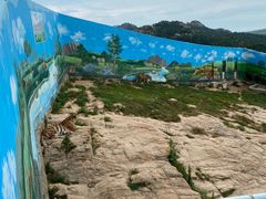 -西霞口神雕山野生动物世界