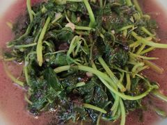 时令蔬菜（米苋）-双塔老饭店