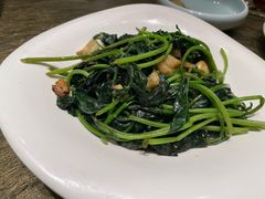 清炒番薯叶-北海渔村酒楼·粤菜海鲜点心(新华店)