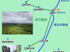 -汤旺河林海奇石景区
