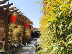 iphone_upload_pic-慢丽江·云南野生菌土鸡锅(付家庄店)