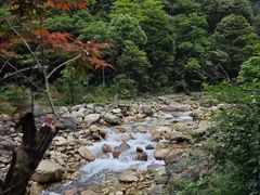 -姑婆山旅游区