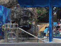 -宁波野生动物园