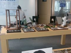 -Eziwish眼镜·蔡司授权店